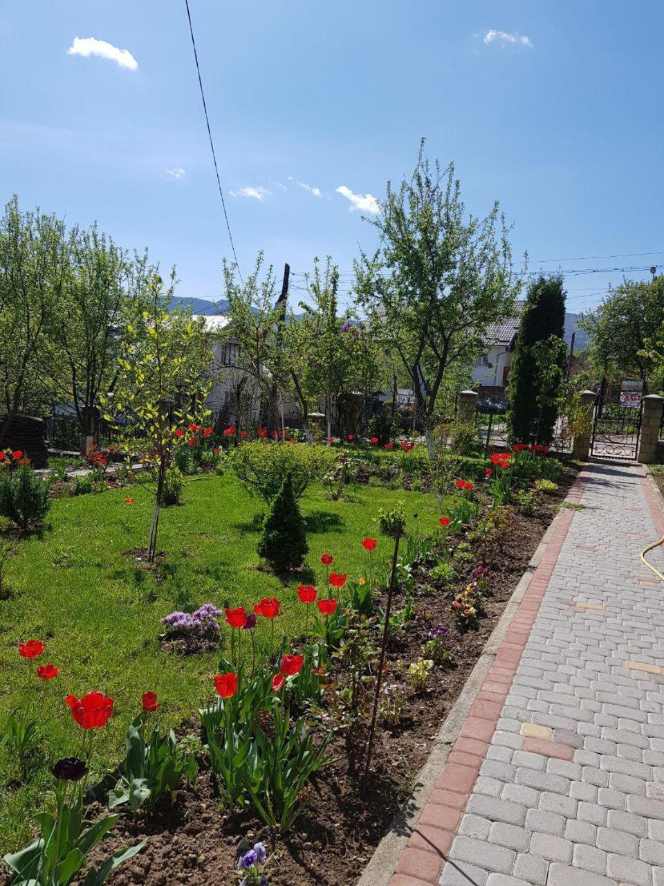 Guest House Viktoria Yaremche Exterior photo